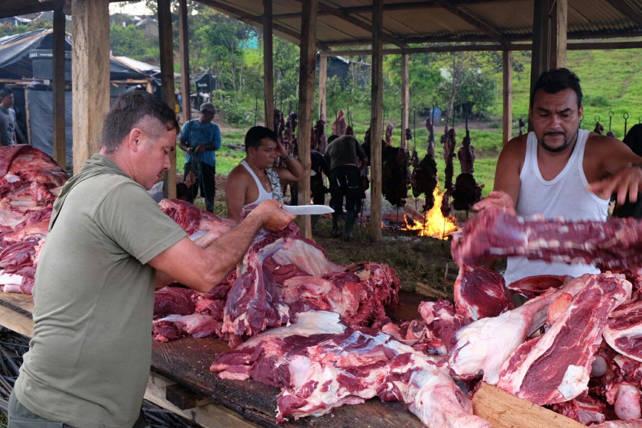 Los preparativos en el Meta del último aniversario de las Farc en armas