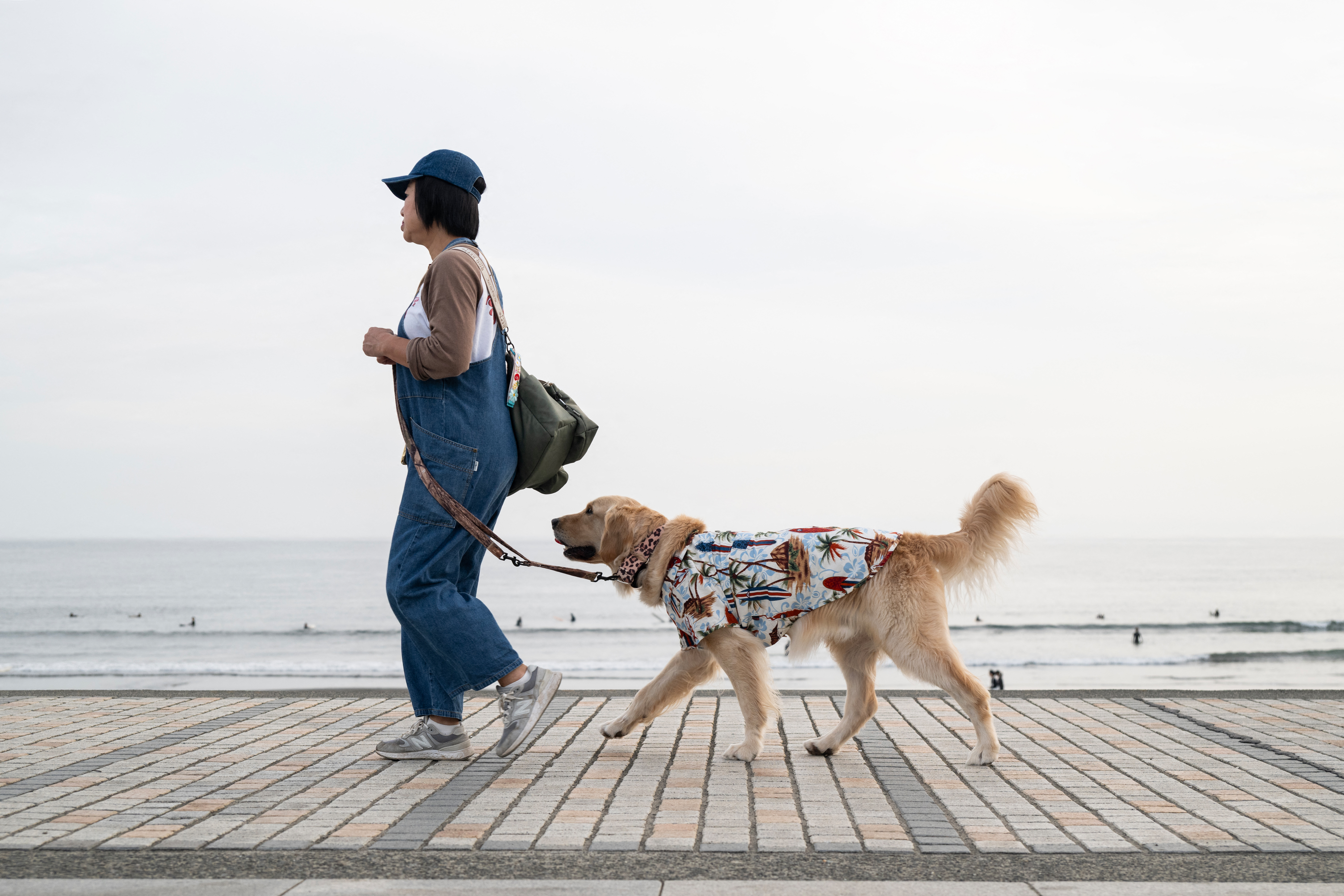 ¿Cómo saber si el suelo está muy caliente para pasear a un perro?