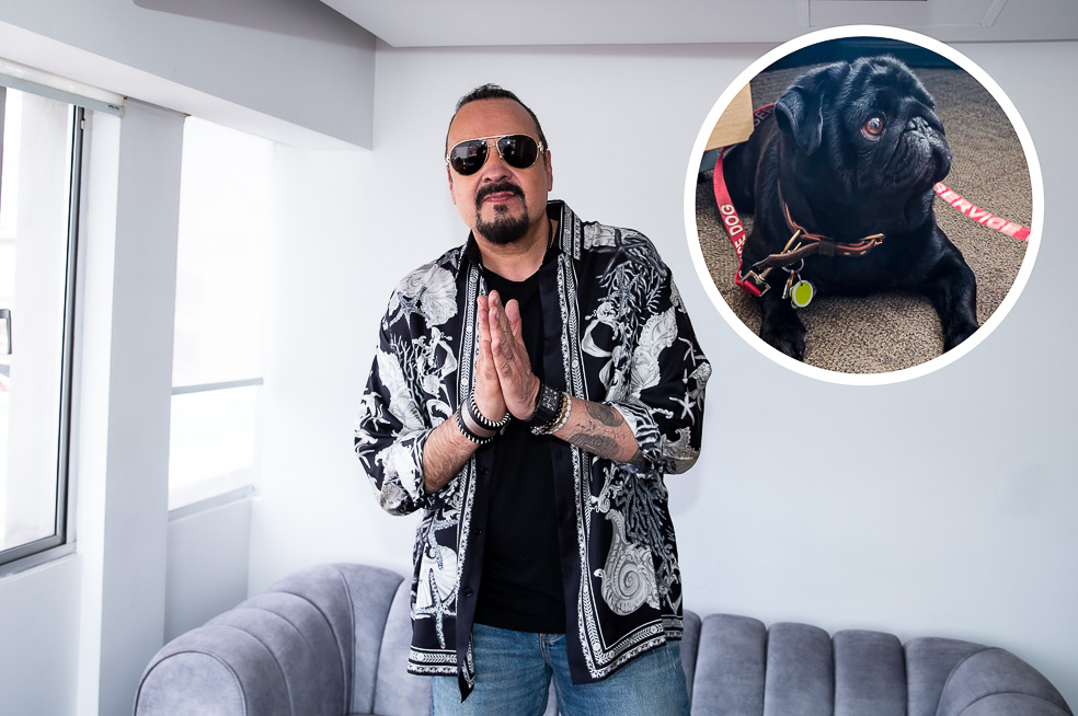 Pepe Aguilar presume la lujosa vida de su hijo menor: un perro pug. “Mi favorito”