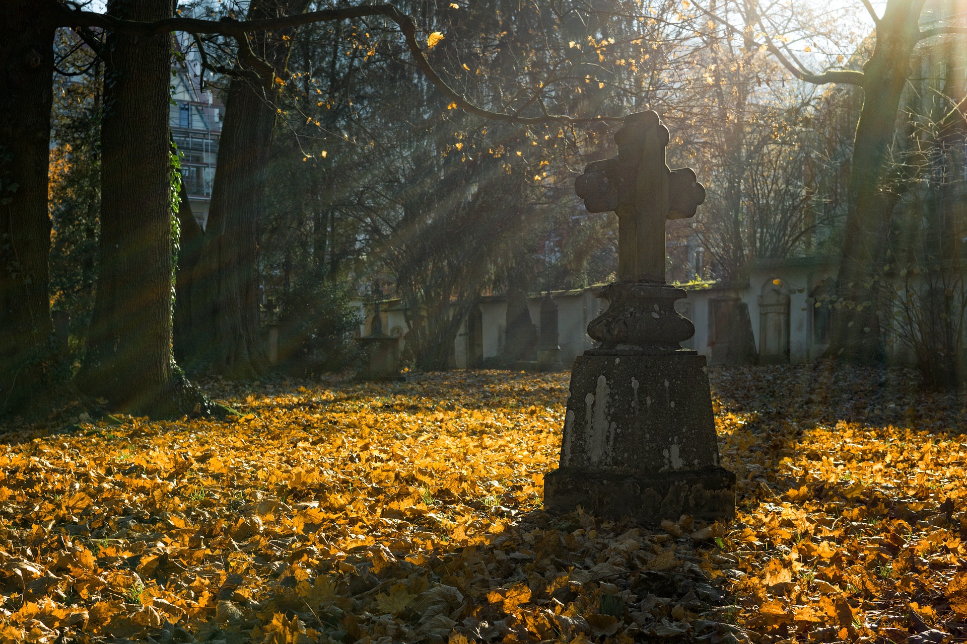 El sepulturero (Cuentos de sábado en la tarde)