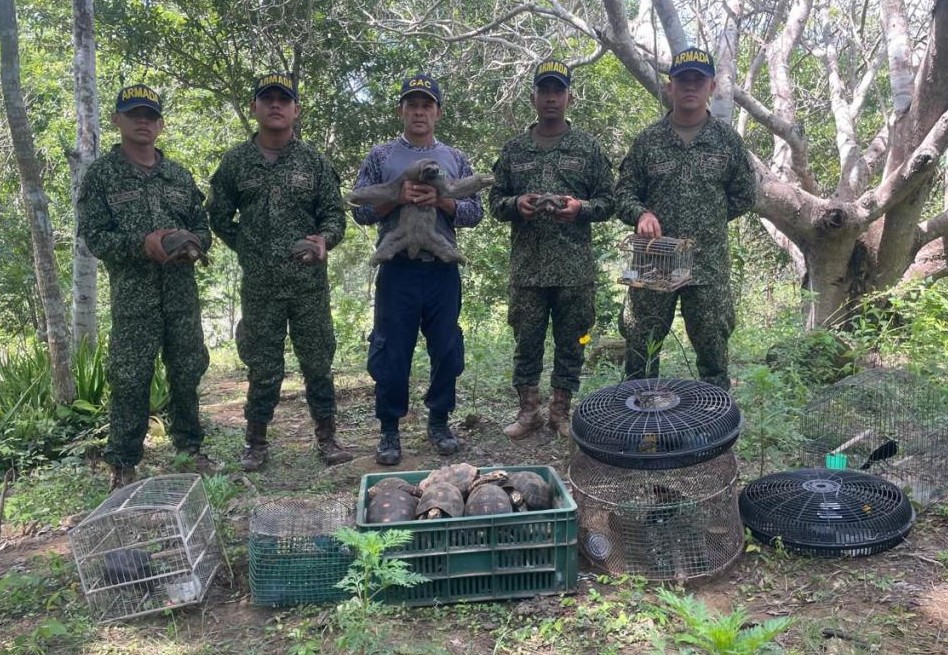 Armada rescata 90 animales silvestres que iban a ser comercializados ilegalmente