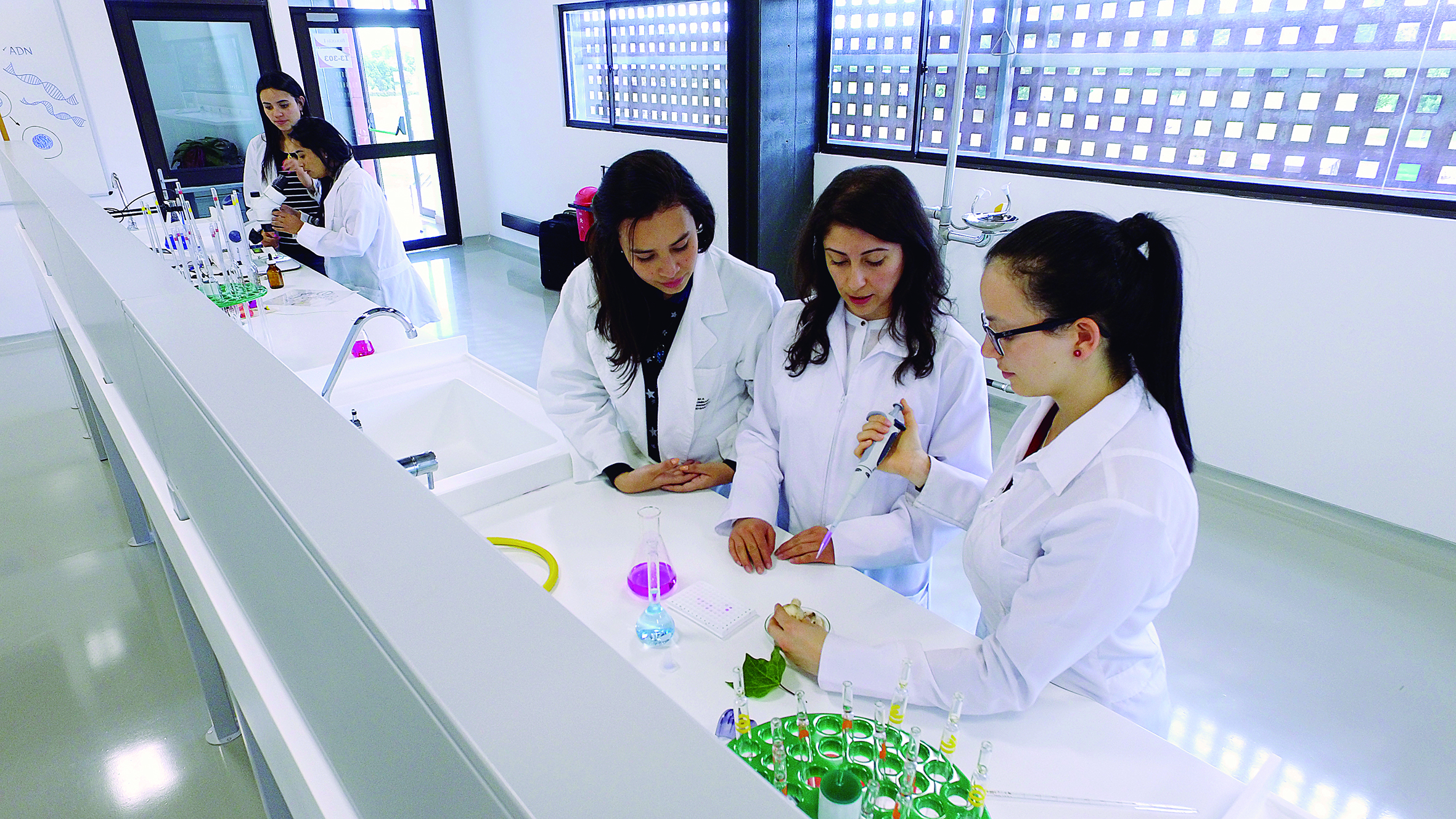 Beneficios económicos para los estudiantes de pregrado