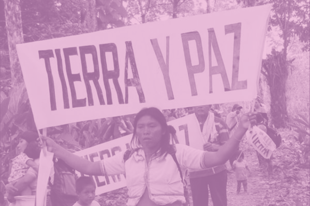 Doris Tejeda, una defensora de tierras montemarianas