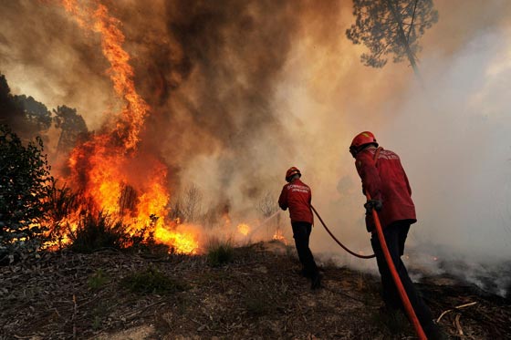 Gestión de Riesgo insta a evitar fogatas en bosques para impedir incendios