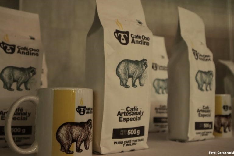 Café Oso Andino es un nuevo producto desarrollado para apoyar la conservación de la especie.Foto: Corporación Manantial.Este programa ha identificado cinco zonas o núcleos que son prioritarios para la conservación del oso de anteojos. El primero de ellos, donde ahora ha surgido el Café Oso Andino, es el Núcleo de Conservación Tatamá-Farallones-Munchique, que reúne a tres parques nacionales localizados en la cordillera occidental, entre los departamentos del Valle del Cauca, Risaralda y Chocó.