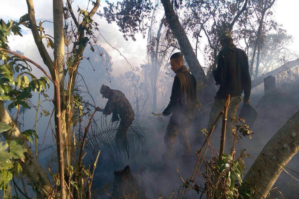 Cuarenta bomberos intentan apagar incendio en la Sierra Nevada de Santa Marta