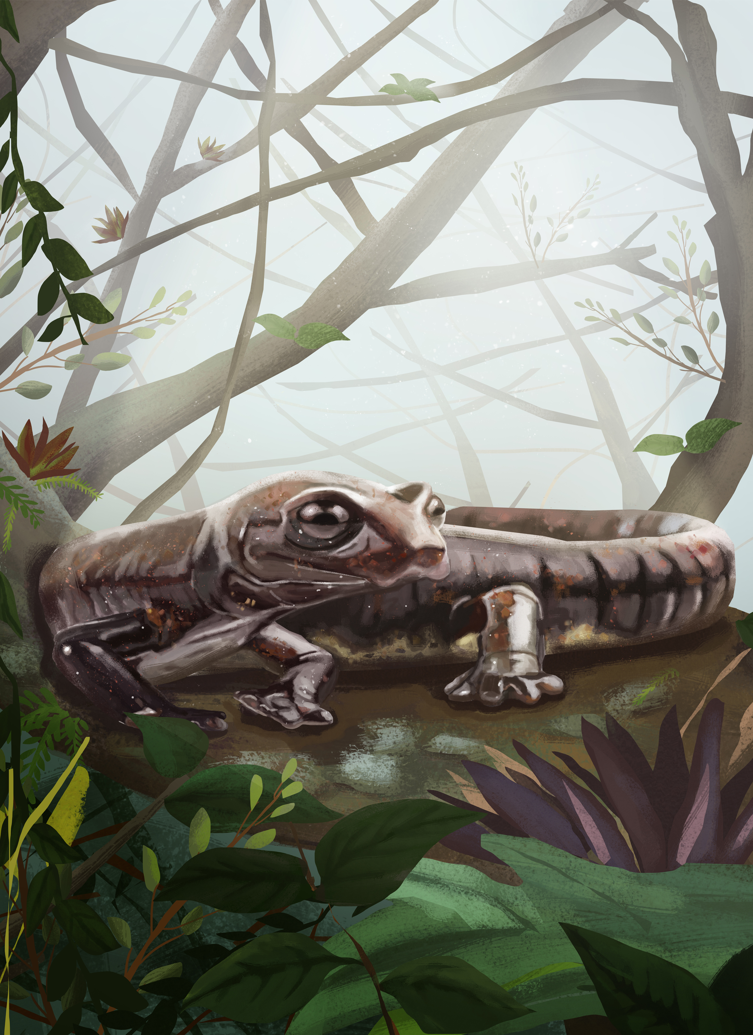 Descubren una nueva especie de salamandra en Colombia