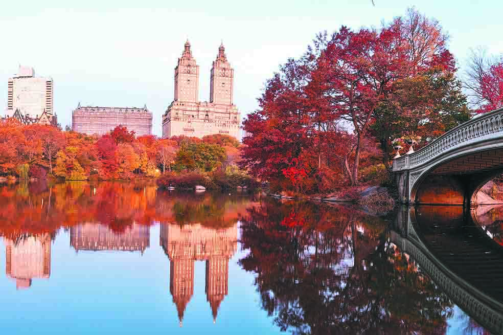 Nueva York, el mundo en cinco distritos