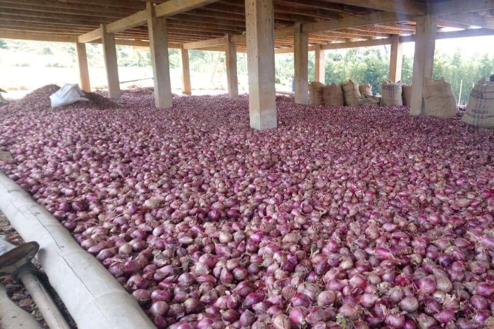 Campesinos del Catatumbo pierden 675 toneladas de productos agrícolas por paros armados