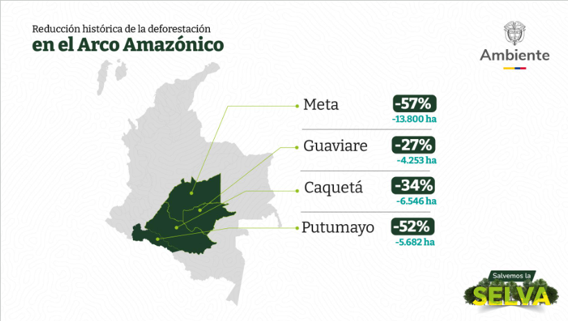 Balance de deforestación en Colombia 2023