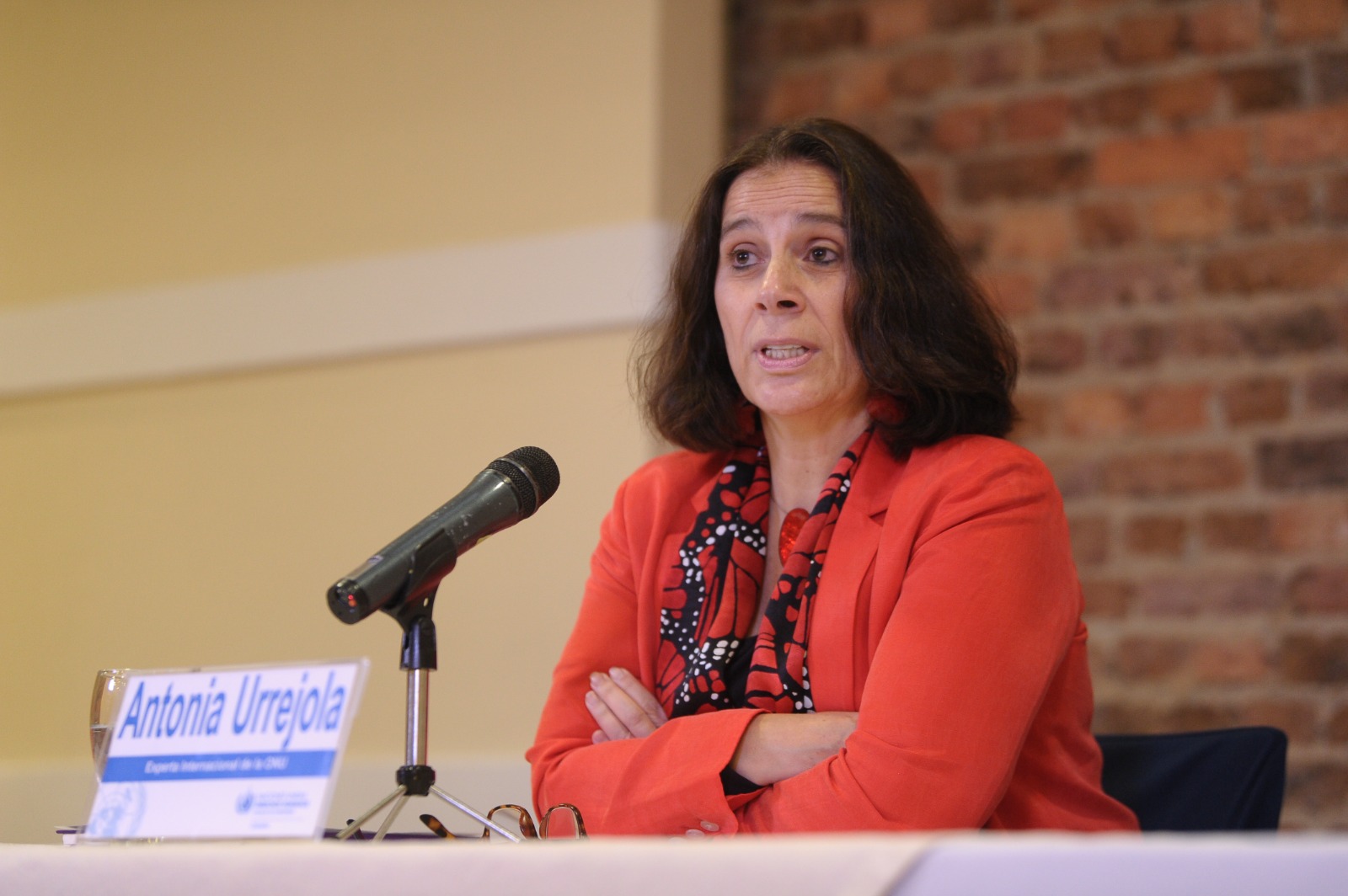 La chilena Antonia Urrejola, quien hizo parte de la Comisión Interamericana de Derechos Humanos (CIDH), fue delegada por la ONU como experta internacional para caso de entrampamiento en Colombia.