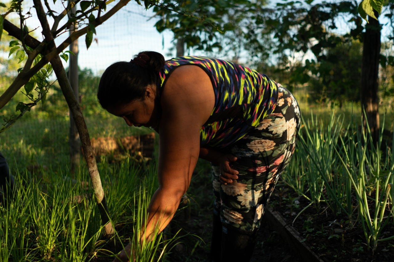 Campesinas y campesinos que cuidan los bosques en Caquetá