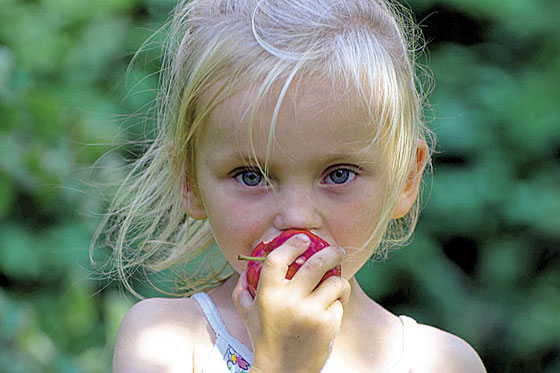Consejos para que los niños crezcan sanos