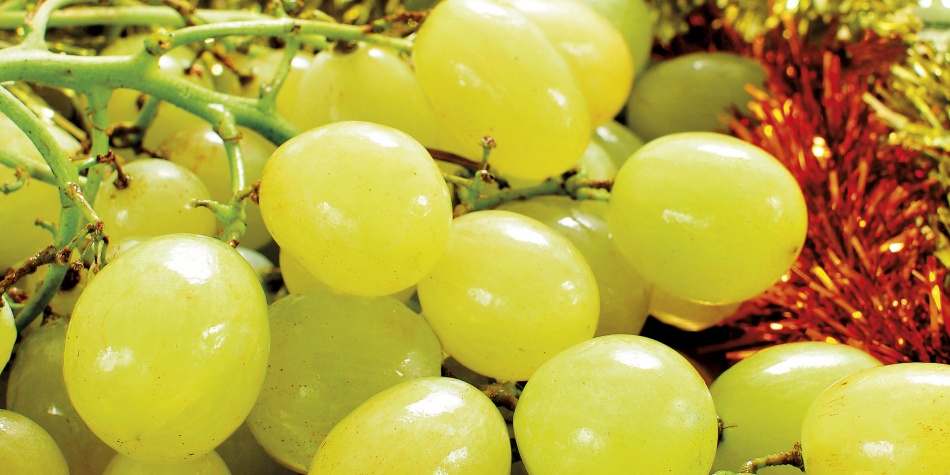 Diciembre, una celebración cargada de deseos