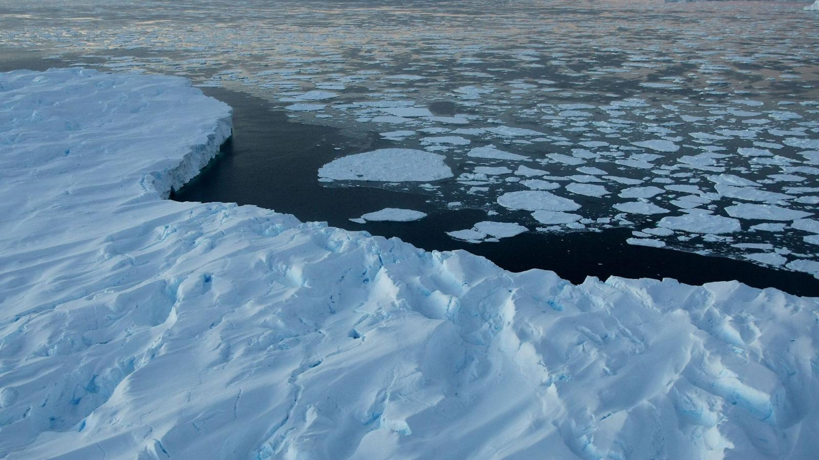 El hielo marino seguirá disminuyendo este año en ambos polos