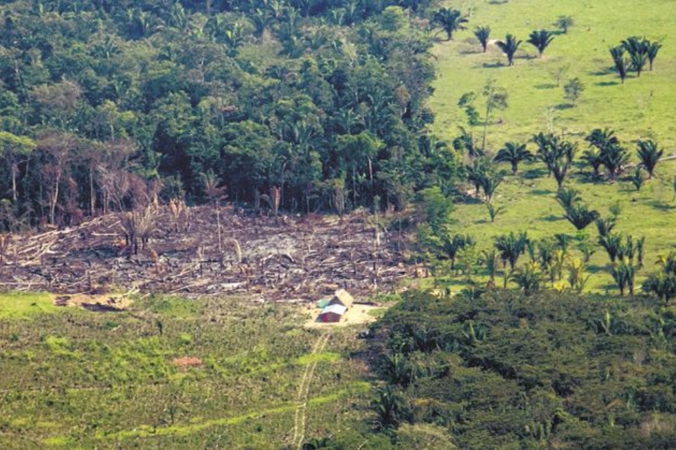 Perder la conexión entre los Andes y la Amazonia: un precio de la paz