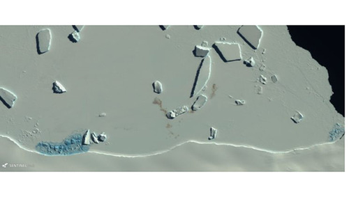 Manchas en el hielo muestran la existencia de una colonia de pingüinos emperador. Imagen tomada del satélite Copernicus Sentinel-2 de la Comisión Europea.