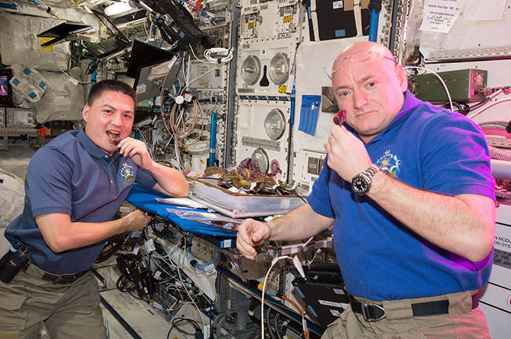 Imágenes del proyecto «Veggie» que busca crear vida en el espacio