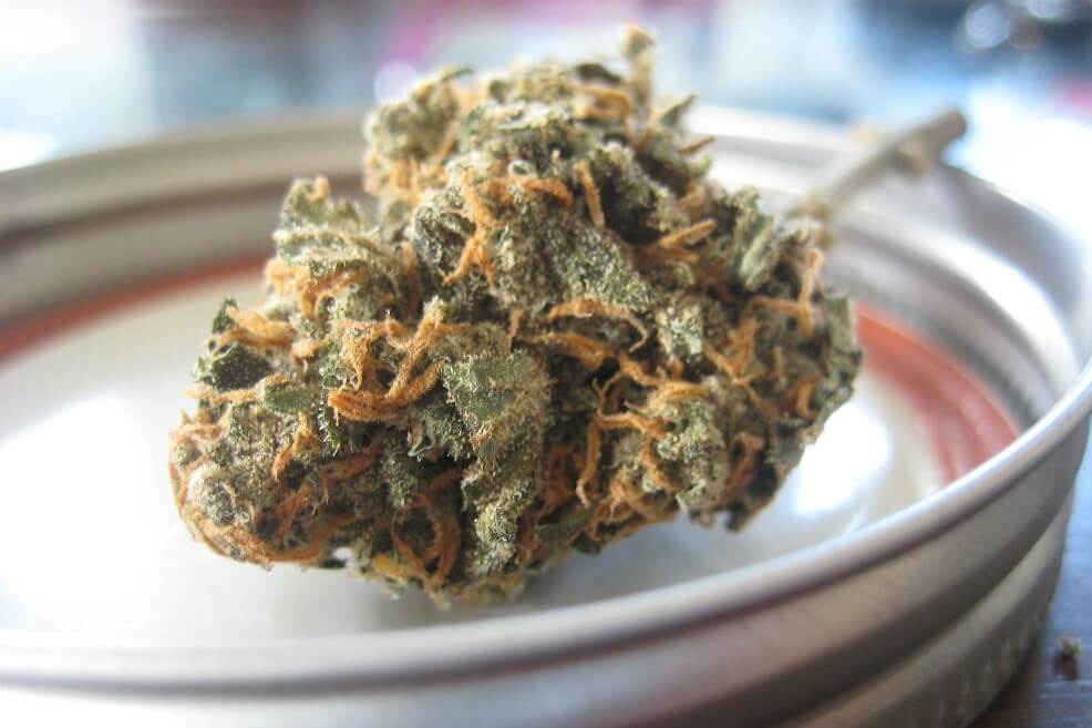 ¿Un porro para los abuelos? Razones para hablarles de marihuana medicinal