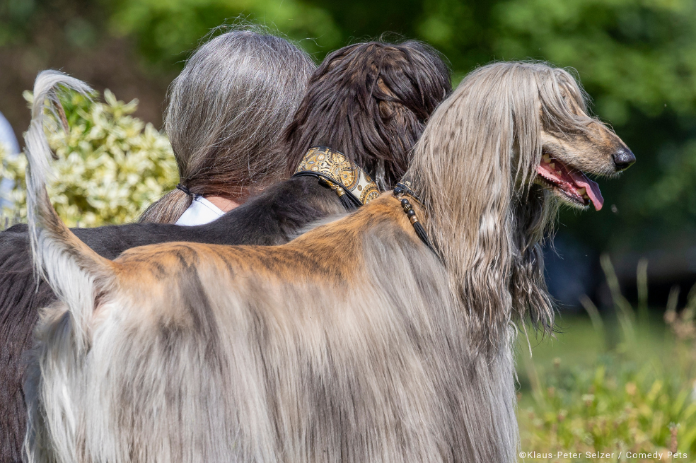 "Karin y sus dos perros. ¿No son todos casi iguales?", dijo el fotógrafo sobre la imagen