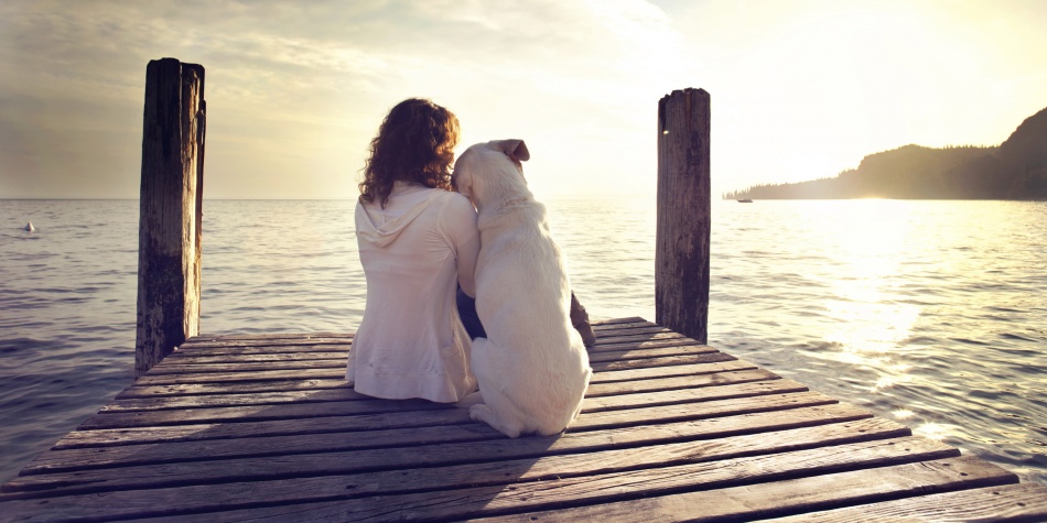 Reiki para mascotas, la última tendencia energética para el cuidado animal