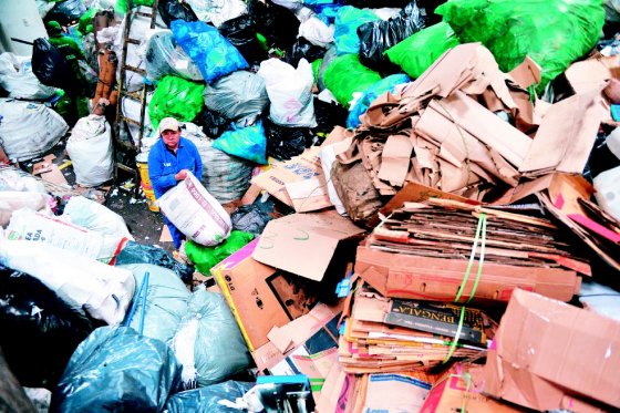 La tutela de recicladores de Bogotá para que los incluyan en la licitación de las basuras