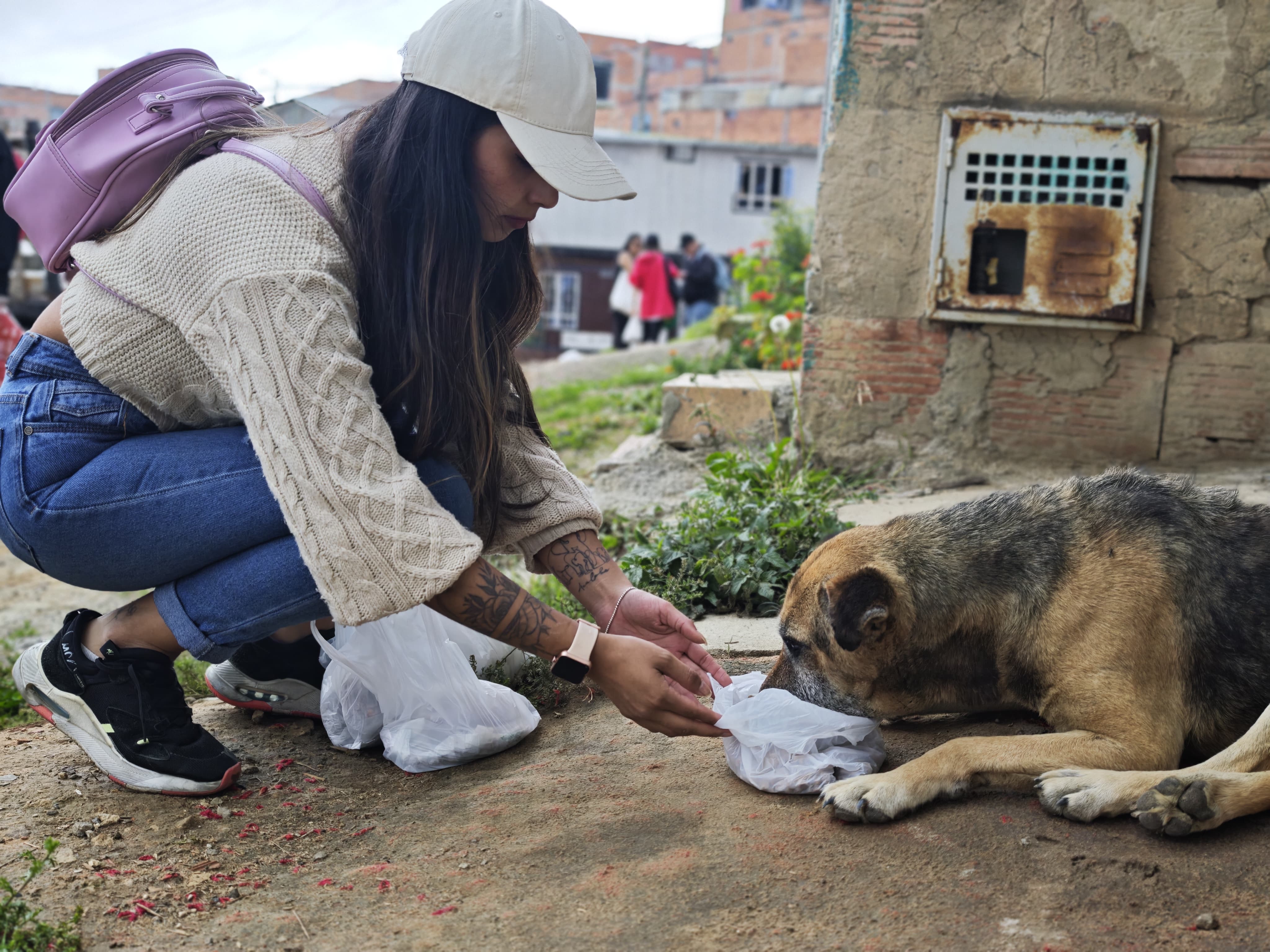 Así es recorrer Bogotá alimentando perros y gatos que sobreviven en la calle
