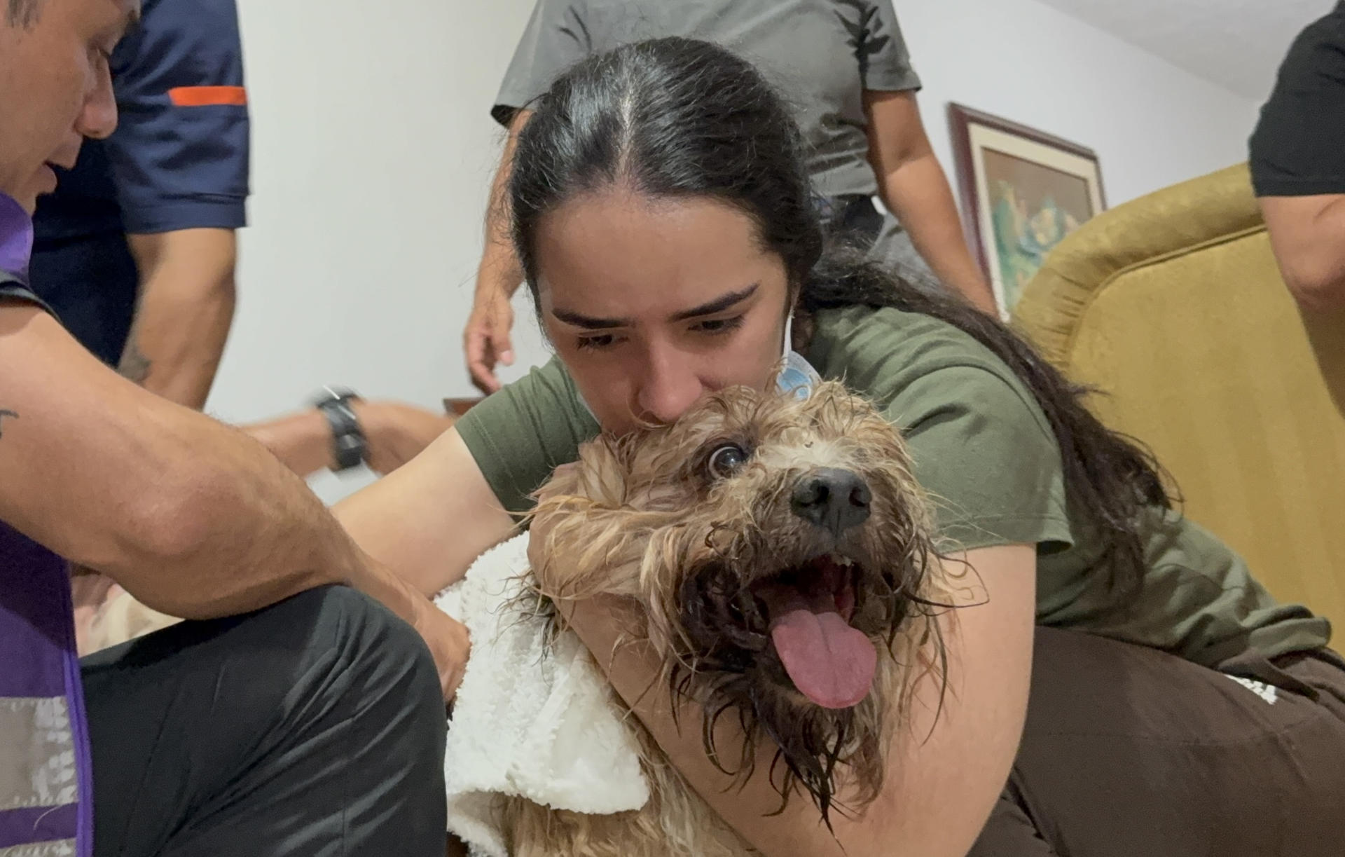 Estrés postraumático y cambios de conducta en mascotas tras un sismo: cómo ayudarles