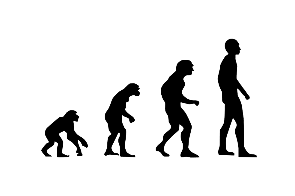 Nuevo estudio sitúa el origen del Homo sapiens 350.000 años atrás