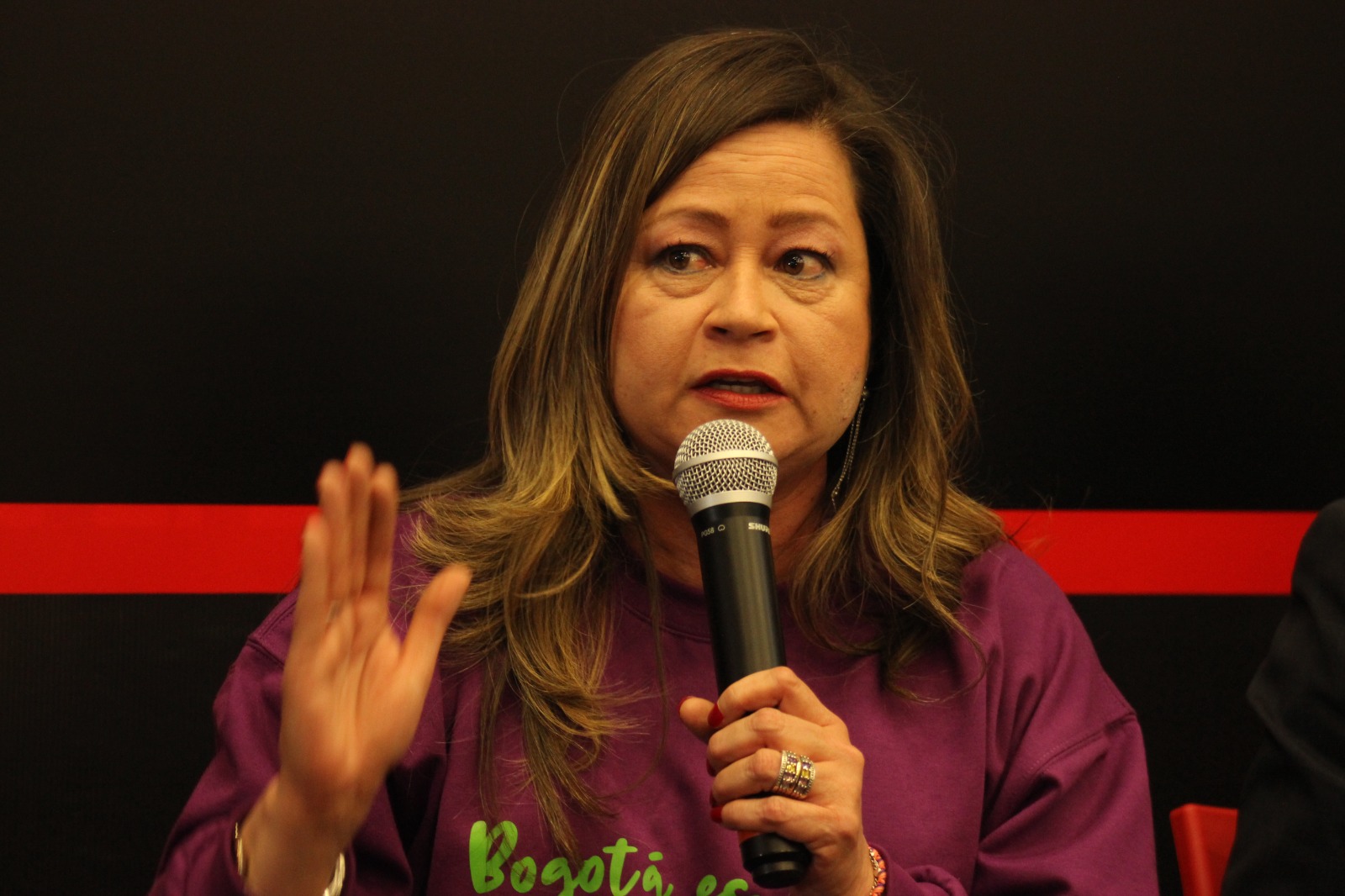 María Fernanda Rojas propuso que nombraría por primera vez a una mujer como secretaria de Seguridad de la ciudad.