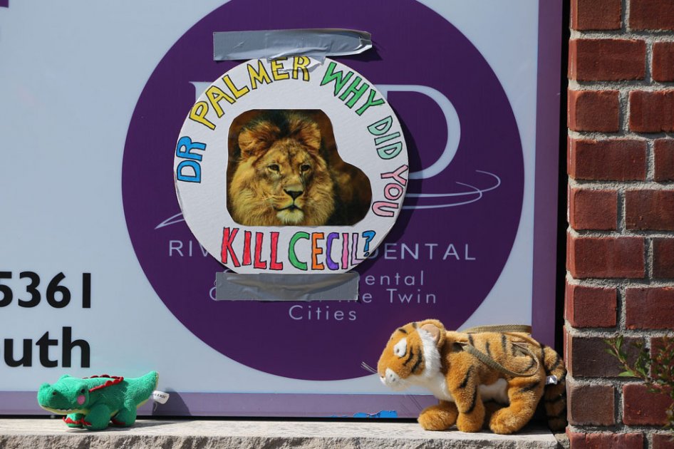 Versiones contradictorias sobre supuesta muerte de león hermano de Cecil