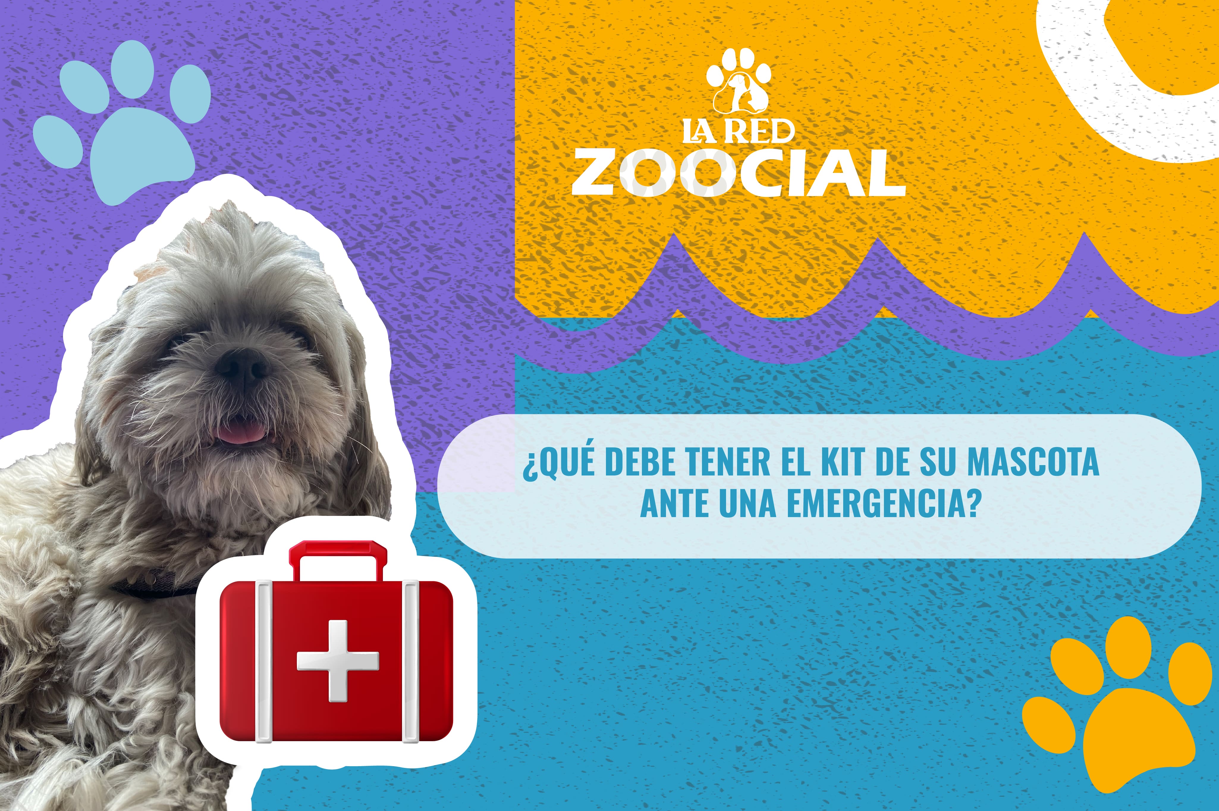 Video: ¿Qué debe tener el kit de su mascota ante una emergencia?
