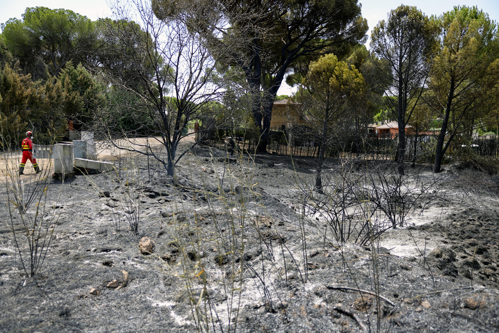 Crisis por incendios en España obliga a declarar emergencia nacional: “peor de la historia”