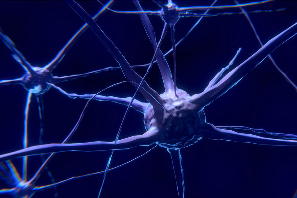 Estudio revela cómo la actividad del cerebro cambia cuando se está siendo egoísta