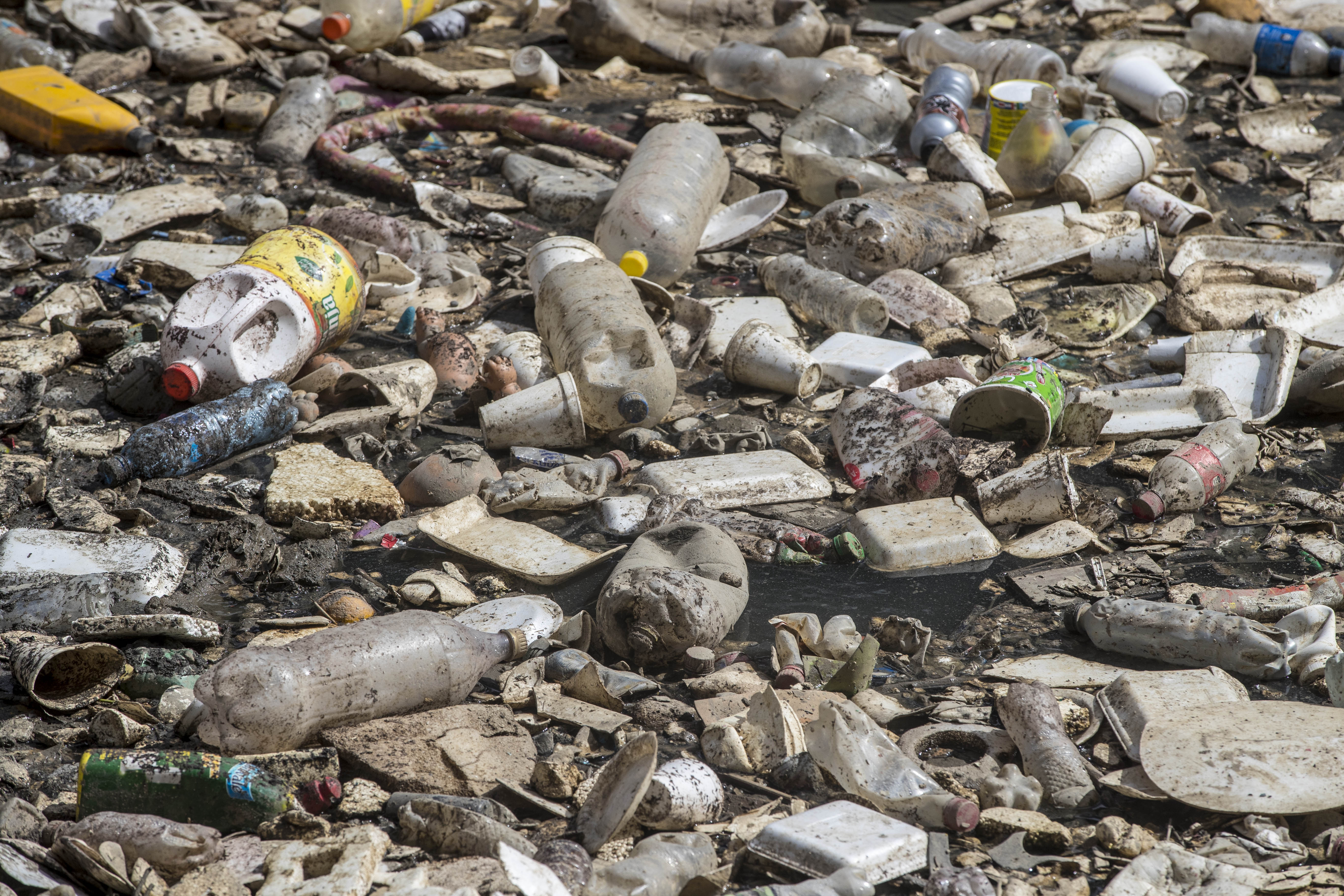 Crean red para mitigar la contaminación por plásticos en el mundo
