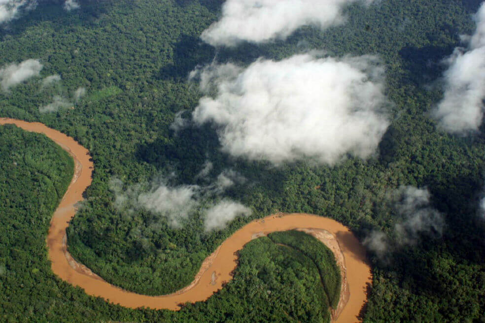 Nuevo estudio hace el balance de las reservas de carbono en la Amazonia