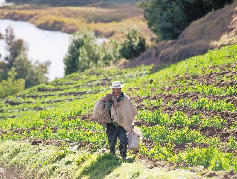 La tierra y la paz: ni contigo ni sin ti
