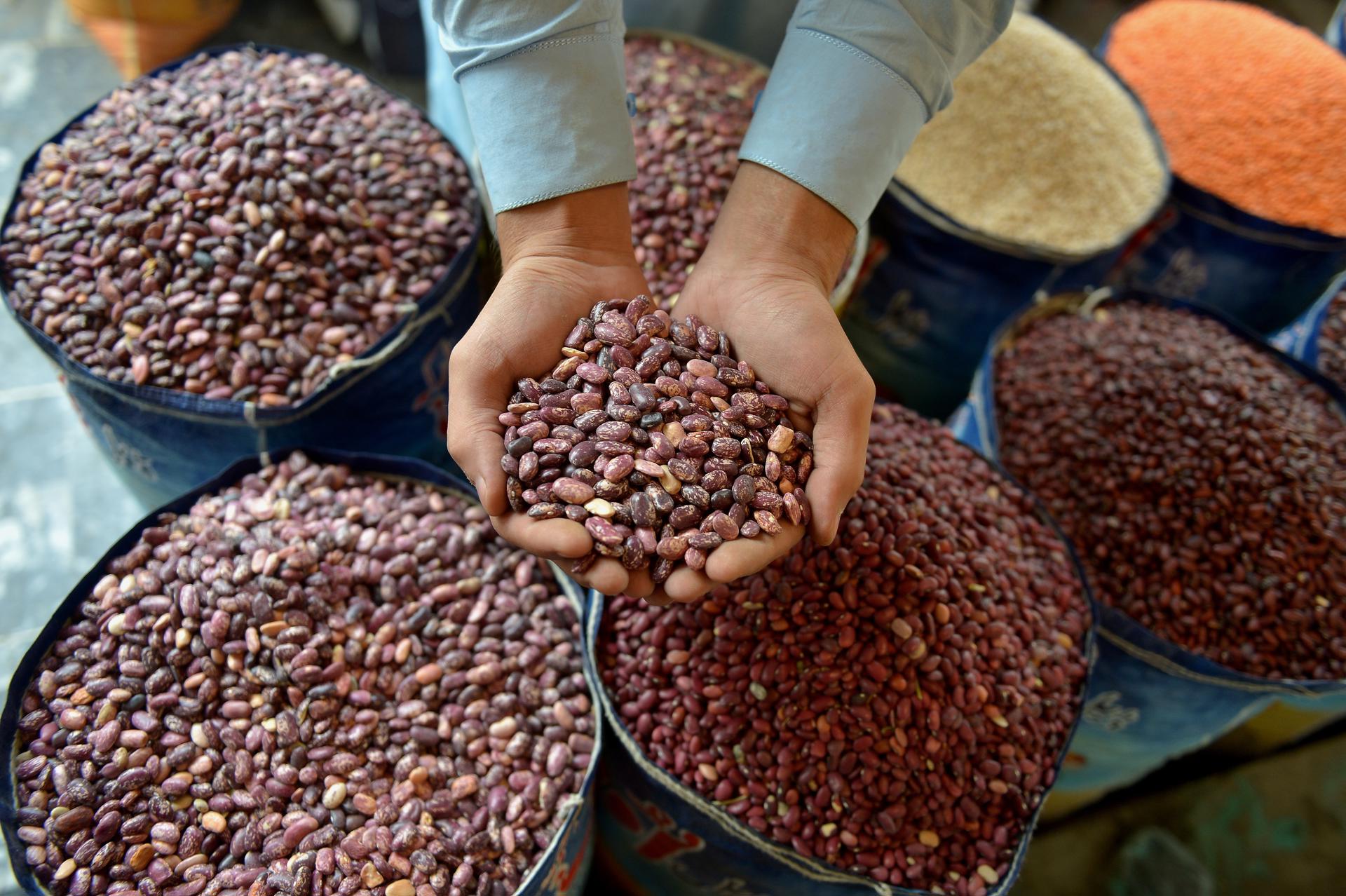 El precio mundial de los alimentos volvió a subir en febrero debido a estos productos