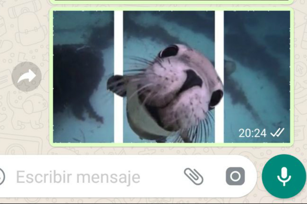 Captura de pantalla.