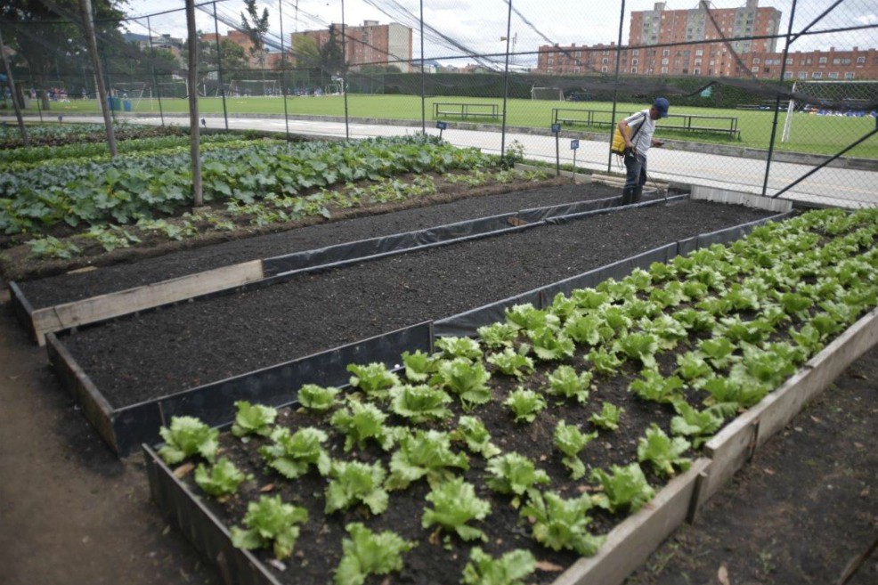 Tres ciudades colombianas serán laboratorios contra la obesidad infantil