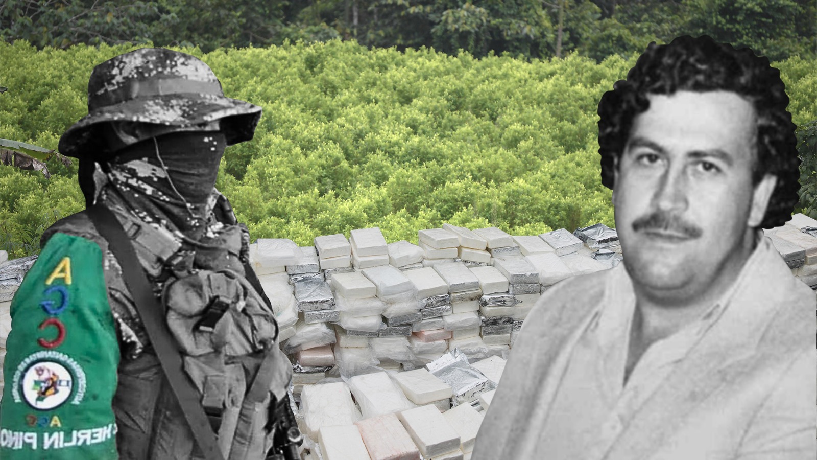 La alianza Clan del Golfo – Cartel de Sinaloa y otras movidas del narcotráfico actual