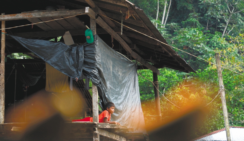 Hambre, temor e inseguridad: las consecuencias de la guerra en San Juan, Chocó