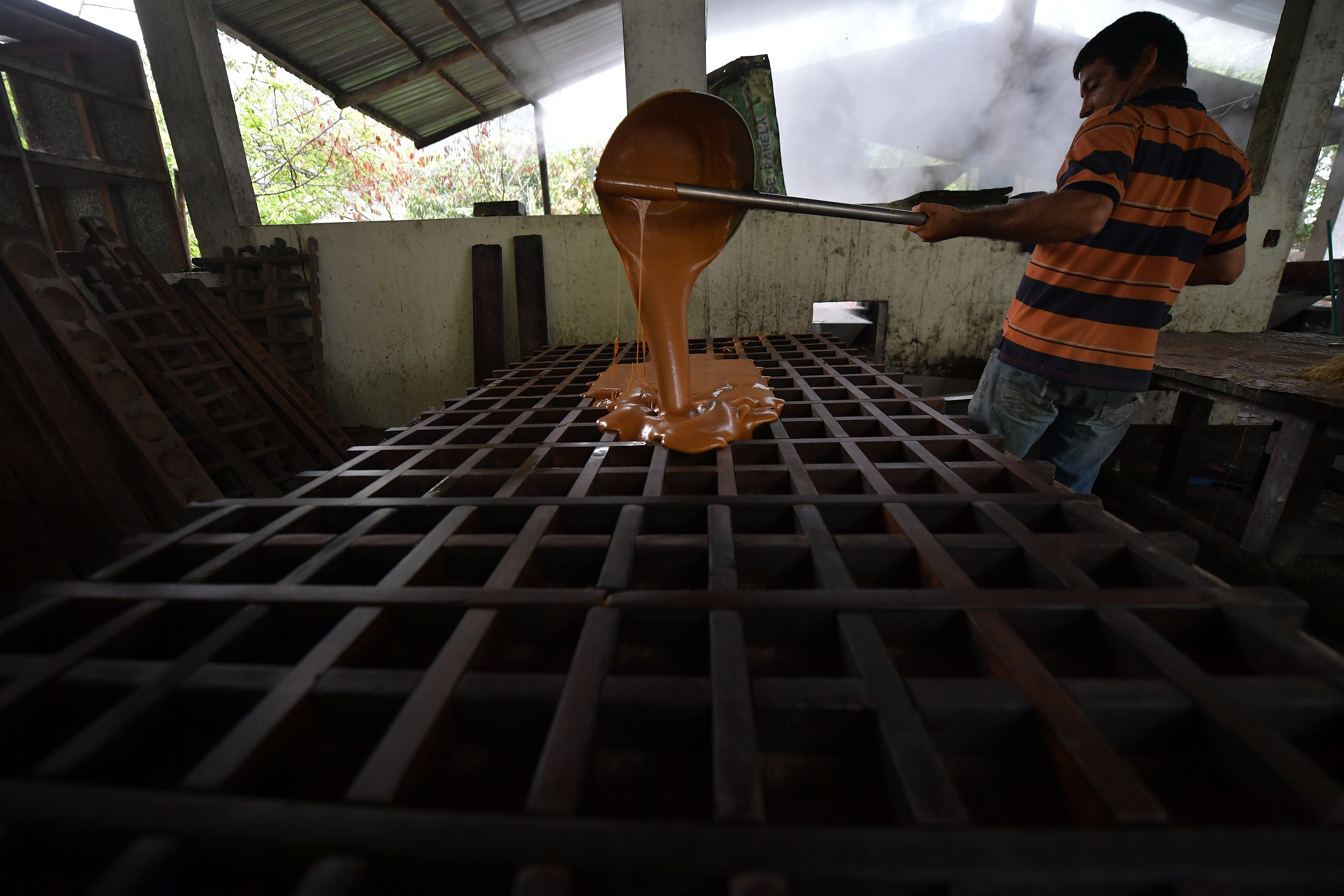Productores de panela de Villeta Cundinamarca