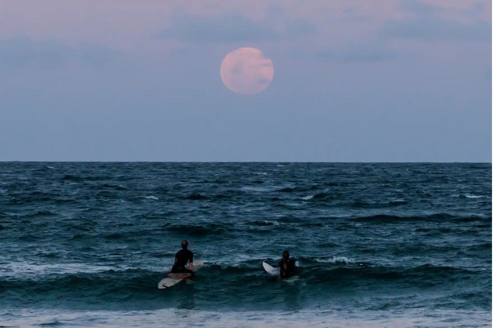 Los surfistas contemplan la luna llena en la playa de Manly en Sydney, Australia