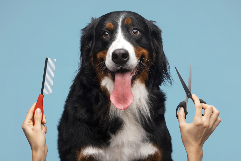 Mercado de las mascotas en Colombia: tendencias de consumo en 2023