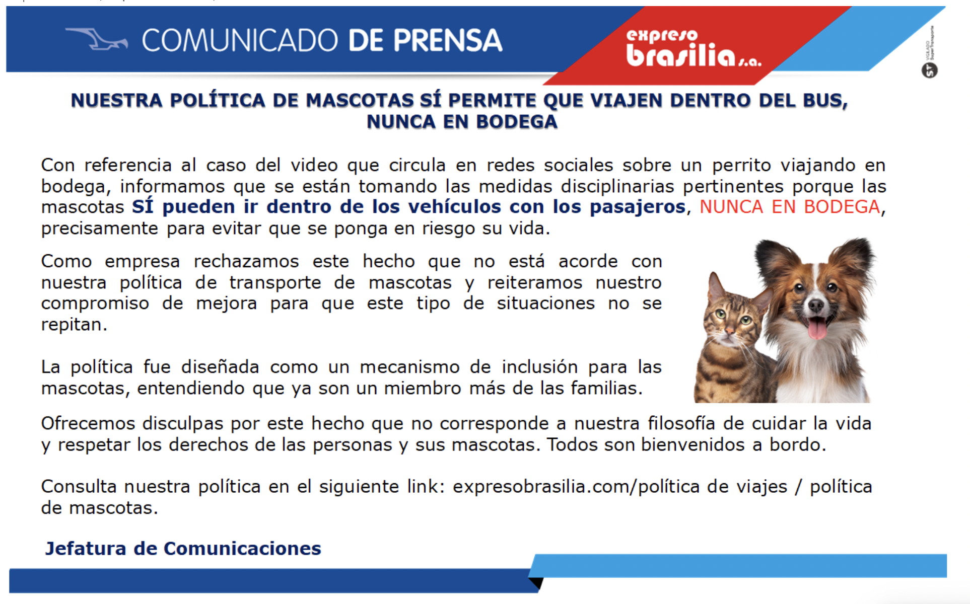 Este es el comunicado que sacó Brasilia, empresa en la que ocurrió el hecho de maltrato animal.
