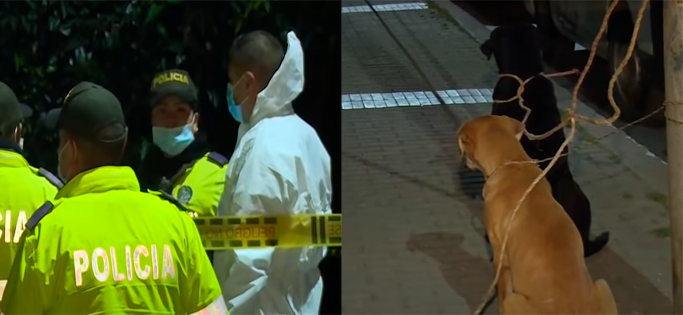Riña en el sur de Bogotá dejó un muerto, sus dos perros custodiaron el cuerpo