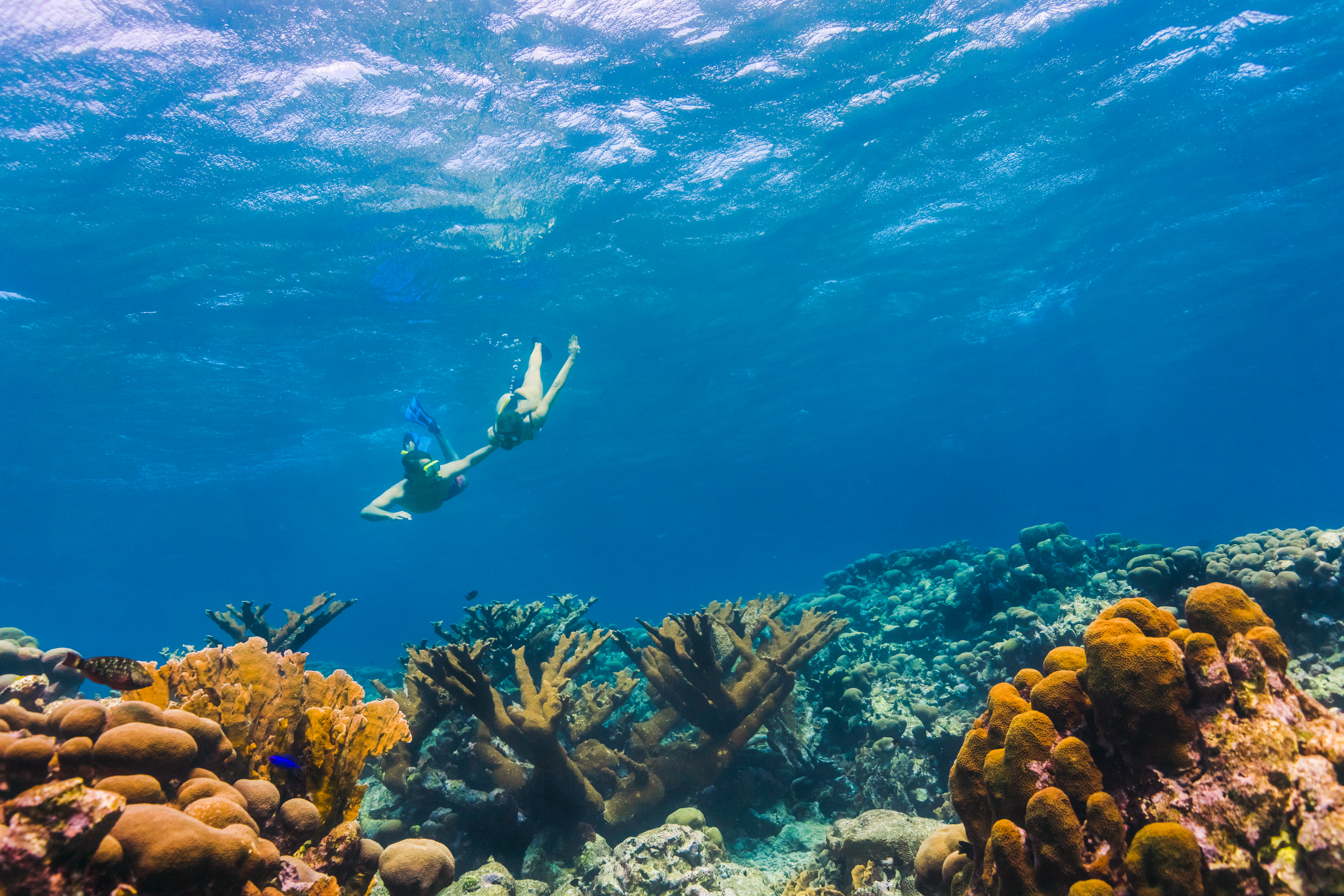 ¿Primero la luna de miel? Promoción de Aruba para un viaje en pareja inolvidable