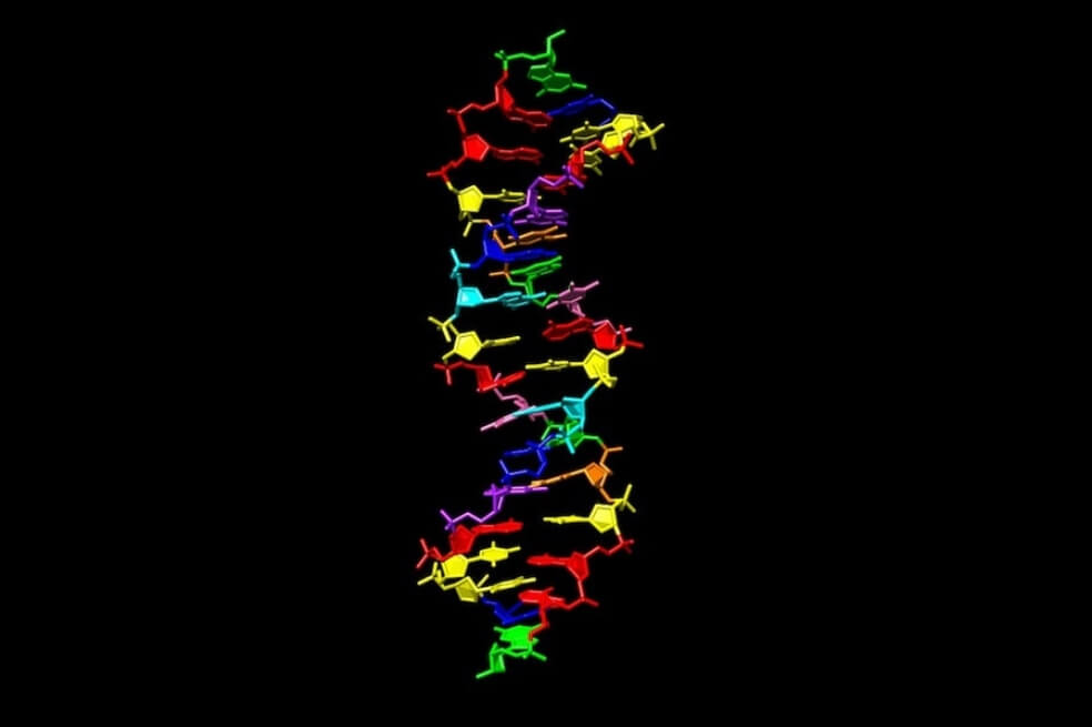 NASA financia la creación de un ADN con 8 letras llamado “hachimoji”