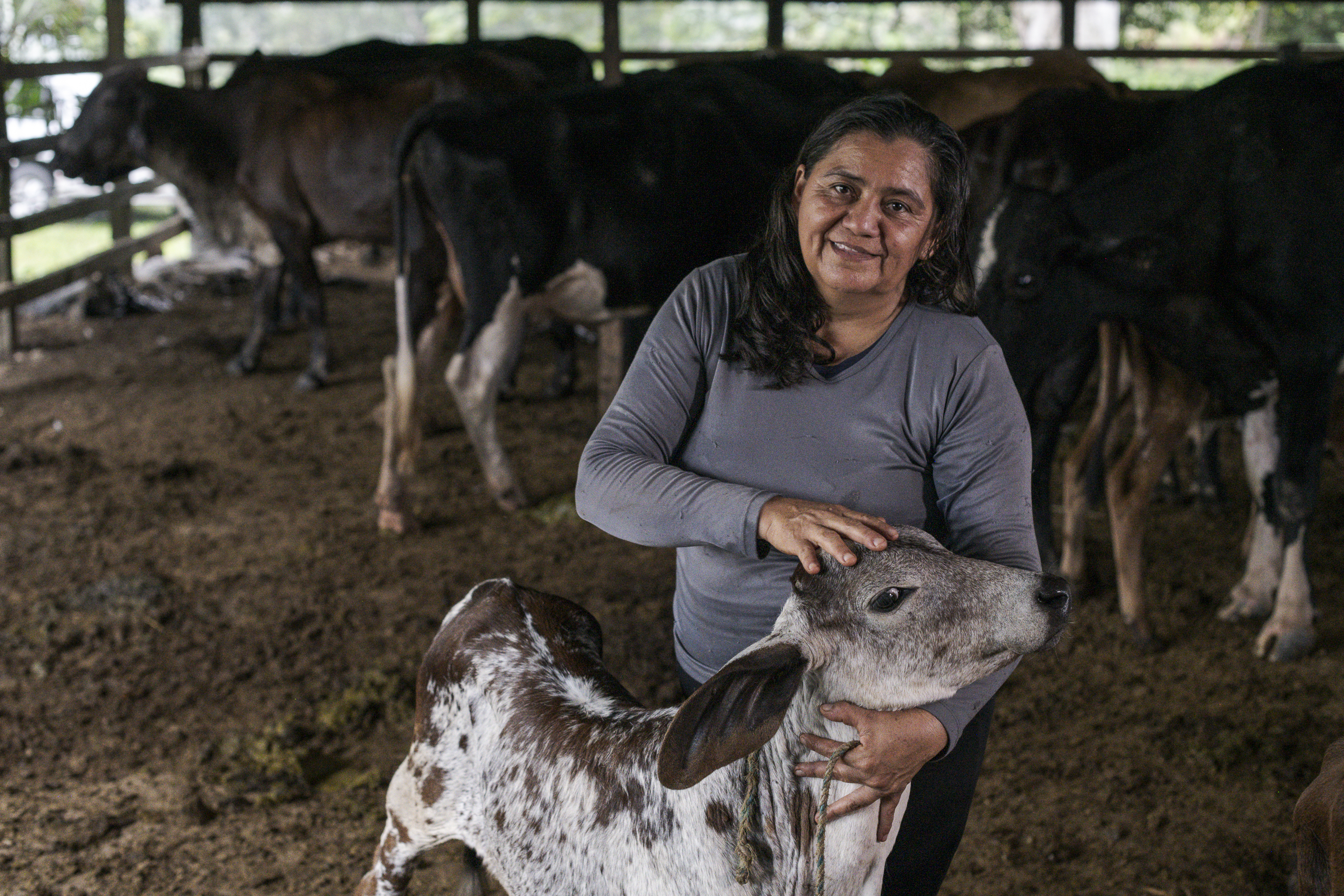Leche y café para cuidar los bosques amazónicos de Caquetá
